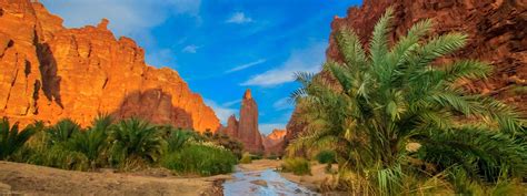 stl tabuk|Cheap Flights from Tabuk to St Louis .